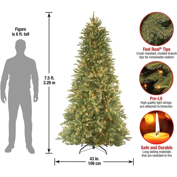 imageNational Tree Company PreLit Feel Real Artificial Slim Christmas Tree Green Tiffany Fir White Lights Includes Stand 75 Feet75 ft