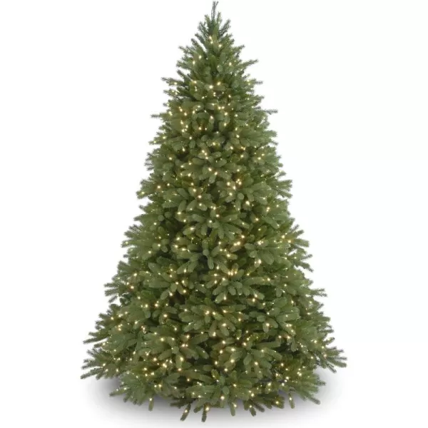 imageNational Tree Company Feel Real Prelit Artificial Christmas Tree  Includes Prestrung White Lights and Stand  Jersey Fraser Fir  65 ft9FEET