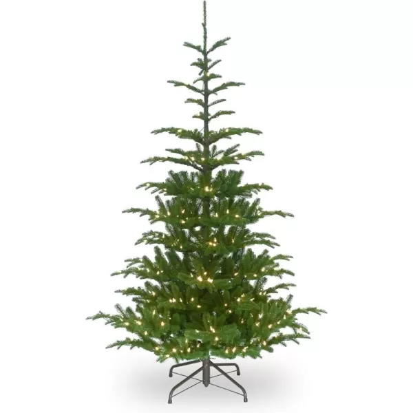 imageNational Tree Company Feel Real Prelit Artificial Christmas Tree  Includes Prestrung White Lights and Stand  Norwegian Spruce  75 ft65 ft