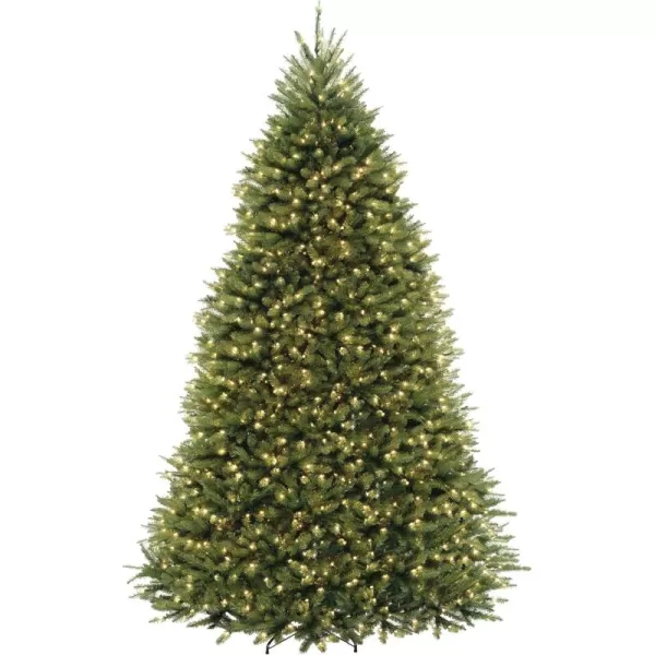 imageNational Tree Company PreLit Artificial Full Christmas Tree Green Dunhill Fir Dual Color LED Lights Includes Stand 10 Ft9 ft