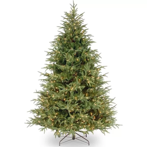 imageNational Tree Company PreLit Feel Real Artificial Full Christmas Tree Green Frasier Grande Dual Color LED Lights Includes Stand 6 Feet65 ft