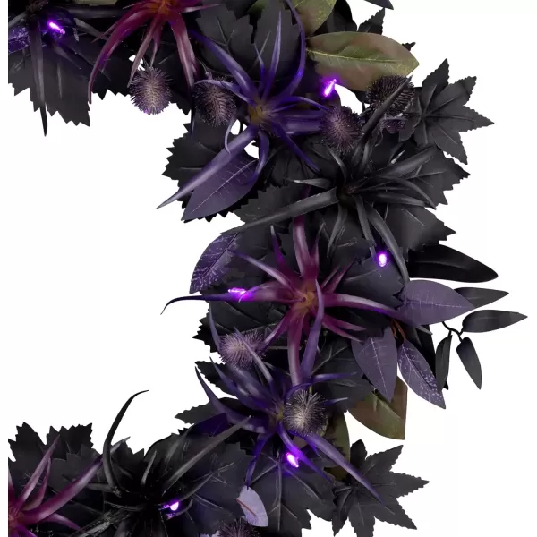 imageNational Tree Company 24inch Artificial Scare in The Air Halloween Wreath 30 Purple LED Lights Battery Operated