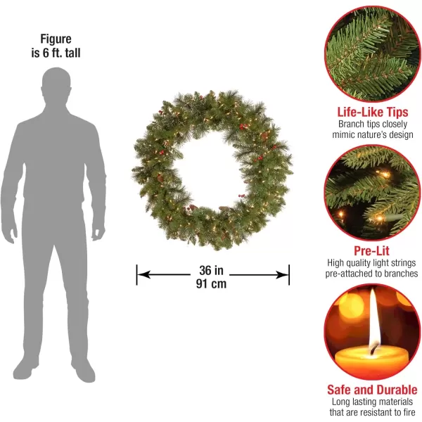 imageNational Tree Company PreLit Artificial Christmas Wreath Green Crestwood Spruce White Lights Decorated with Pine Cones Berry Clusters Frosted Branches Christmas Collection 24 Inches36 in