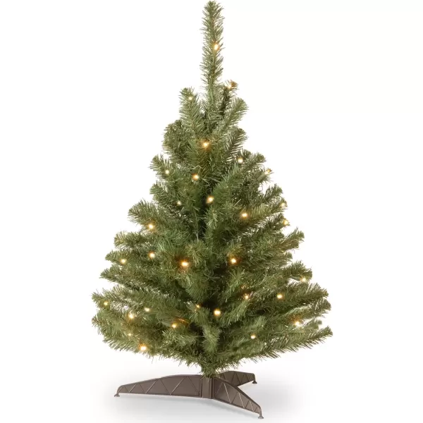 imageNational Tree Company PreLit Artificial Mini Christmas Tree Green Kincaid Spruce White Lights Includes Stand 4 Feet3ft