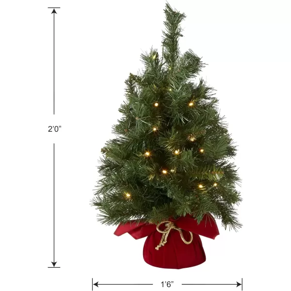 imageNational Tree Company Prelit Artificial Mini Christmas Tree  Includes Small Lights and Cloth Bag Base  Majestic Fir  2 ftBattery Operated wRed Bag