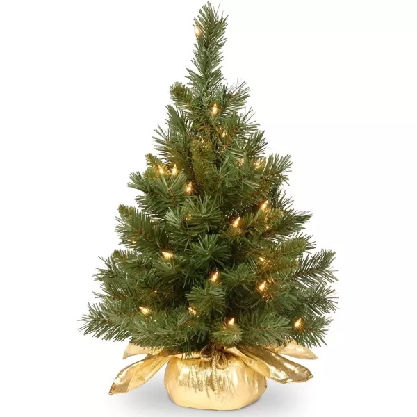 imageNational Tree Company Prelit Artificial Mini Christmas Tree  Includes Small Lights and Cloth Bag Base  Majestic Fir  2 ftPlug In wGold Bag