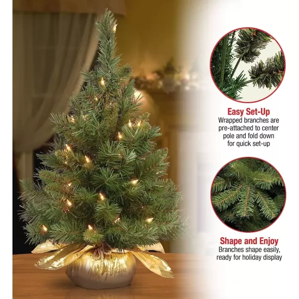 imageNational Tree Company Prelit Artificial Mini Christmas Tree  Includes Small Lights and Cloth Bag Base  Majestic Fir  2 ftPlug In wGold Bag