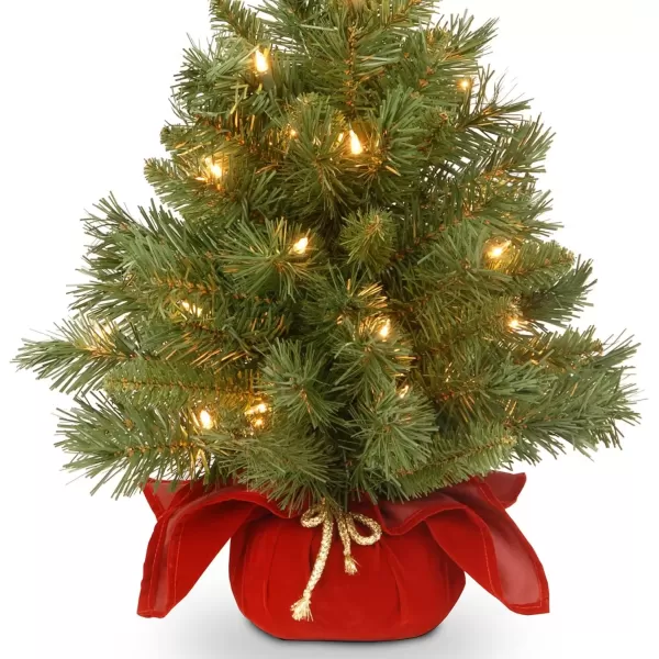 imageNational Tree Company Prelit Artificial Mini Christmas Tree  Includes Small Lights and Cloth Bag Base  Majestic Fir  2 ftPlug in wRed Bag