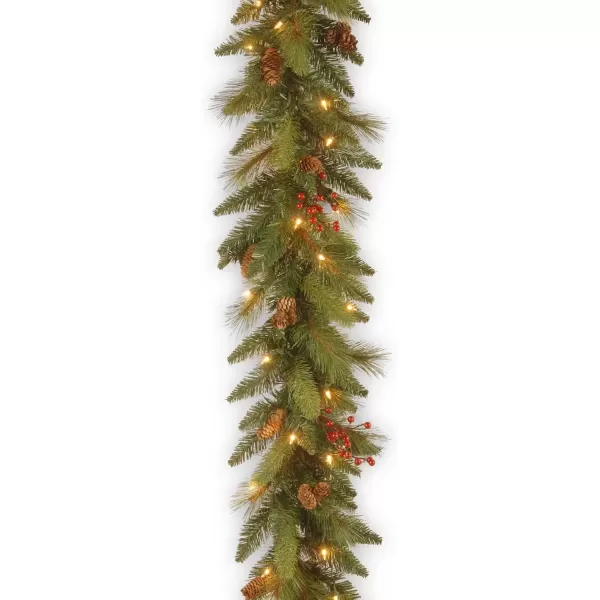 imageNational Tree Company PreLit Artificial Christmas Garland Green Evergreen White Lights Decorated With Pine Cones Berry Clusters Plug In Christmas Collection 9 Feet