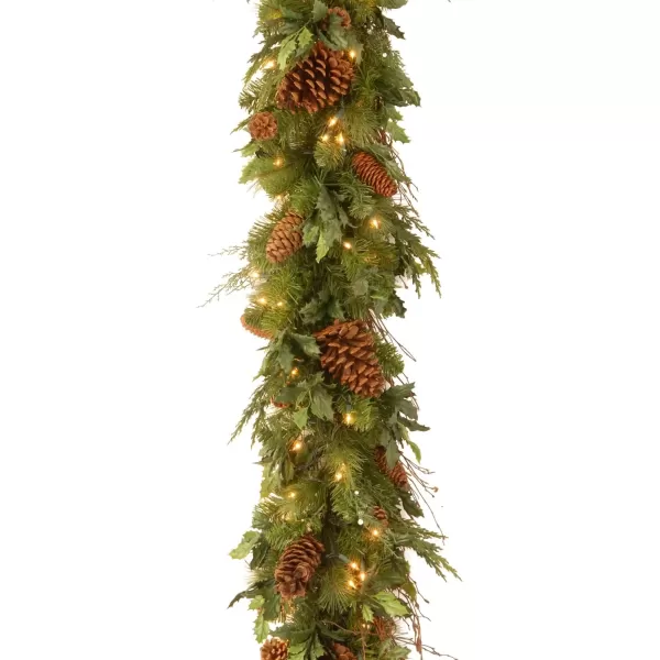 imageNational Tree Company PreLit Artificial Christmas Garland Green Juniper Pine White Lights Decorated With Pine Cones Plug In Christmas Collection 6 Feet6Foot x 12Inch