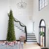 imageNational Tree Company Artificial PreLit Slim Christmas Tree Green Kingswood Fir White Lights Includes Stand 14 Feet