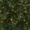 imageNational Tree Company Artificial PreLit Slim Christmas Tree Green Kingswood Fir White Lights Includes Stand 14 Feet