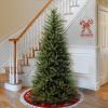 imageNational Tree Company Artificial Slim Christmas Tree Green Dunhill Fir Includes Stand 65 Feet6ft 6in