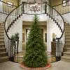 imageNational Tree Company Artificial Slim Christmas Tree Green Dunhill Fir Includes Stand 65 Feet9ft