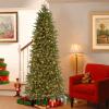 imageNational Tree Company Feel Real Prelit Artificial Christmas Tree  Includes PreStrung White Lights and Stand  Jersey Fraser Fir Pencil Slim  9 ft7ft 6in