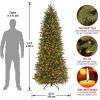 imageNational Tree Company Feel Real Prelit Artificial Christmas Tree  Includes PreStrung White Lights and Stand  Jersey Fraser Fir Pencil Slim  9 ft7ft 6in