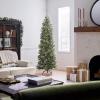 imageNational Tree Company Feel Real Prelit Artificial Christmas Tree  Includes Prestrung White Lights Downswept Douglas Fir Pencil Slim  9 ft9in