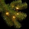 imageNational Tree Company PreLit Artificial Giant Slim Christmas Tree Green North Valley Spruce White Lights Includes Stand 12 Feet