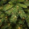 imageNational Tree Company PreLit Artificial Slim Christmas Tree Green Tiffany Fir White Lights Includes Stand 9 Feet9ft