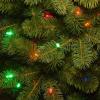 imageNational Tree Company Prelit Feel Real Artificial Slim Downswept Christmas Tree Green Douglas Fir Dual Color LED Lights Includes PowerConnect and Stand 75 feet