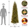 imageNational Tree Company Prelit Feel Real Artificial Slim Downswept Christmas Tree Green Douglas Fir Dual Color LED Lights Includes PowerConnect and Stand 75 feet