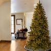 imageNational Tree Company Prelit Feel Real Artificial Slim Downswept Christmas Tree Green Douglas Fir White Lights Includes Stand 9 feet