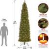 imageNational Tree Company Tacoma Pine 12 Foot Prelit Slim Artificial Christmas Holiday Tree with White Lights Metal Stand and Easy Assembly Green