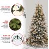 imageNational Tree Company lit Artificial Christmas Tree  Includes PreStrung White Lights and Stand  Snowy Mountain Pine Slim75 ft