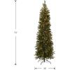 imageNational Tree 75 Foot quotFeel Realquot Grande Fir Pencil Slim Tree with 350 Clear Lights Hinged PEGF433475