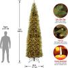 imageNational Tree Company Artificial PreLit Slim Christmas Tree Green Kingswood Fir Multicolor Lights Includes Stand 12 FeetArtificial Tree