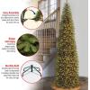 imageNational Tree Company Artificial PreLit Slim Christmas Tree Green Kingswood Fir Multicolor Lights Includes Stand 12 FeetArtificial Tree