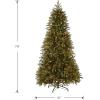 imageNational Tree Company Feel Real Prelit Artificial Christmas Tree  Includes Prestrung White Lights and Stand  Jersey Fraser Fir Slim 75 ft7ft 6in