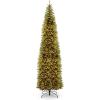 imageNational Tree Company Artificial PreLit Slim Christmas Tree Green Kingswood Fir Multicolor Lights Includes Stand 12 FeetArtificial Tree