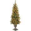 imageNational Tree Company Prelit Artificial Christmas Tree For Entrances Flocked with Cones and Gold Berries  Includes Prestrung White Lights  Glittery Gold Pine  4ft