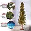 imageNational Tree Company Artificial Christmas Tree  Includes Stand  Hickory Cedar  3 ft5ft 11in