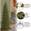 imageNational Tree Company Artificial Slim Christmas Tree Green North Valley Spruce Includes Stand 9 Feet