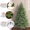 imageNational Tree Company Feel Real Artificial Full Christmas Tree Green Frasier Grande Includes Stand 75 Feet7ft