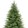 imageNational Tree Company Feel Real Artificial Full Christmas Tree Green Frasier Grande Includes Stand 75 Feet7ft