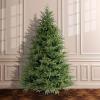 imageNational Tree Company Feel Real Artificial Full Christmas Tree Green Frasier Grande Includes Stand 75 Feet7ft