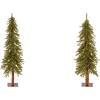 imageNational Tree Company Artificial Christmas Tree  Hickory Cedar  5 ft5ft