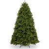 imageNational Tree Company Artificial Christmas Tree Newberry Spruce Green Includes Stand 75 Feet