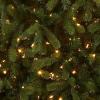 imageNational Tree Company Feel Real Prelit Artificial Christmas Tree  Includes Prestrung MultiColor LED Lights PowerConnect and Stand  Bayberry Spruce  9 ft