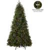 imageNational Tree Company Feel Real Prelit Artificial Christmas Tree  Includes Prestrung MultiColor LED Lights PowerConnect and Stand  Bayberry Spruce  9 ft