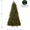 imageNational Tree Company Feel Real Prelit Artificial Christmas Tree  Includes Prestrung MultiColor LED Lights PowerConnect and Stand  Bayberry Spruce  9 ft