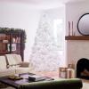 imageNational Tree Company PreLit Artificial Full Christmas Tree White Dunhill Fir White Lights Includes Stand 9 Feet9ft