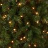 imageNational Tree Company PreLit Artificial Slim Christmas Tree Green North Valley Spruce White Lights Includes Stand 9 Feet