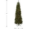 imageNational Tree Company PreLit Artificial Slim Christmas Tree Green North Valley Spruce White Lights Includes Stand 9 Feet