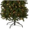 imageNational Tree Company PreLit Artificial Slim Christmas Tree Green North Valley Spruce White Lights Includes Stand 9 Feet