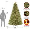 imageNational Tree Company PreLit Feel Real Artificial Full Christmas Tree Green Tiffany Fir White Lights Includes Stand 9 Feet9ft