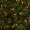 imageNational Tree Company Prelit Feel Real Artificial Giant Downswept Christmas Tree Green Douglas Fir Dual Color LED Lights 10 feet1ft 6in